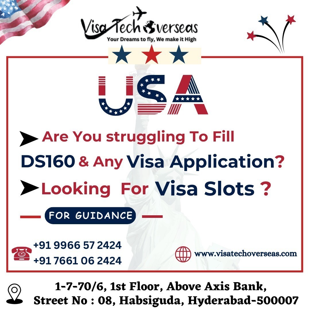 visatechoverses workpermit