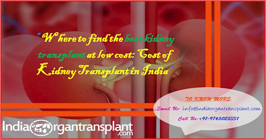 Where to find the best kidney transplant at low cost: Cost of Kidney Transplant in India