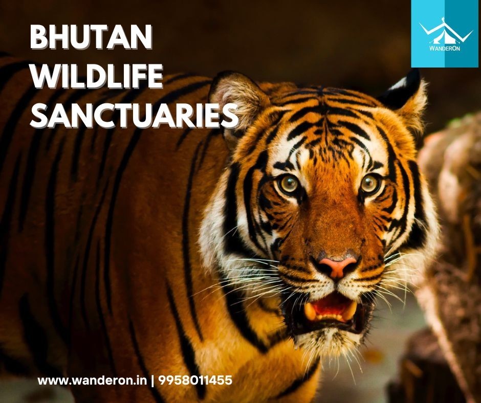 Top Wildlife Sanctuaries in Bhutan for Lovers of the Outdoors