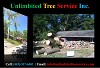 Bowie Tree Care, Tree Removal, Tree Trimming Services