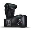 Best boxing gloves for training