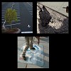 Asphalt Repairs