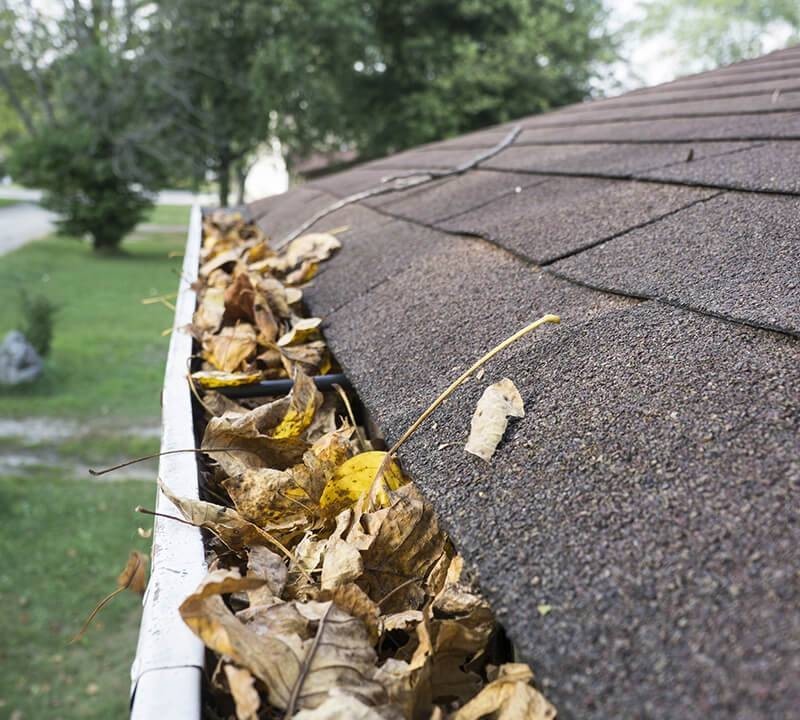 Best Gutter Cleaning Services in Charleston, SC