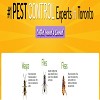 Pest Control in Toronto