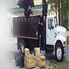 Bulk Debris Removal