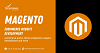 Magento eCommerce website development