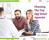 Choosing The Top Egg Donor Agencies