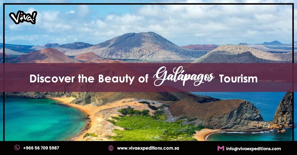 Discover the Beauty of Galápagos Tourism