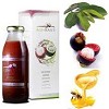 AGEN ACE MAXS MATRAMAN