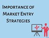 Importance of Market Entry Strategies