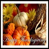 Happy Thanksgiving