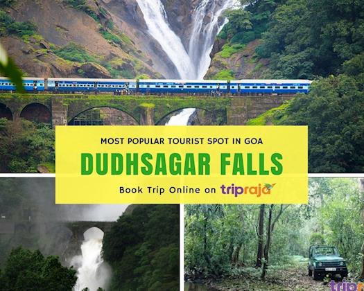 Dudhsagar Waterfall Tours & Jungle Safari Tours in Goa