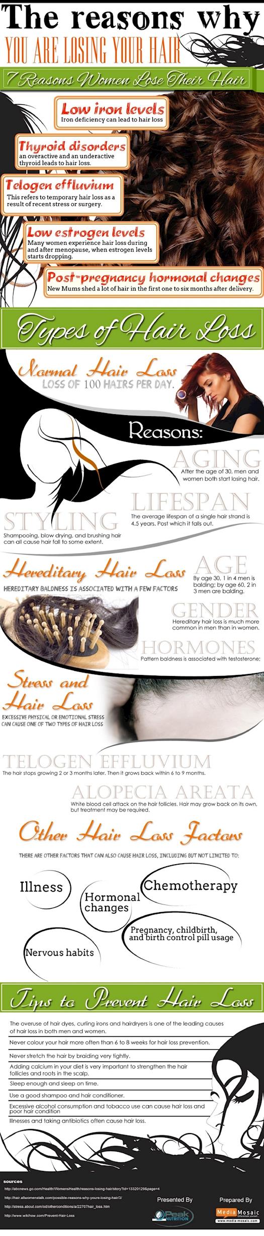 The Reasons Why You are Losing Your Hair [Infographic]