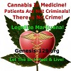 Cannabis Is Medicine 