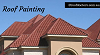 Best Services For Roof Painting in Adelaide, Australia