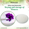 Silica Gel For Drying Flowers