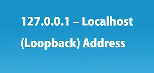 127.0.0.1 – Localhost (Loopback) Address