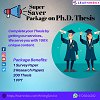 Best Thesis assistance | Writing services by LearnInBox |LIB