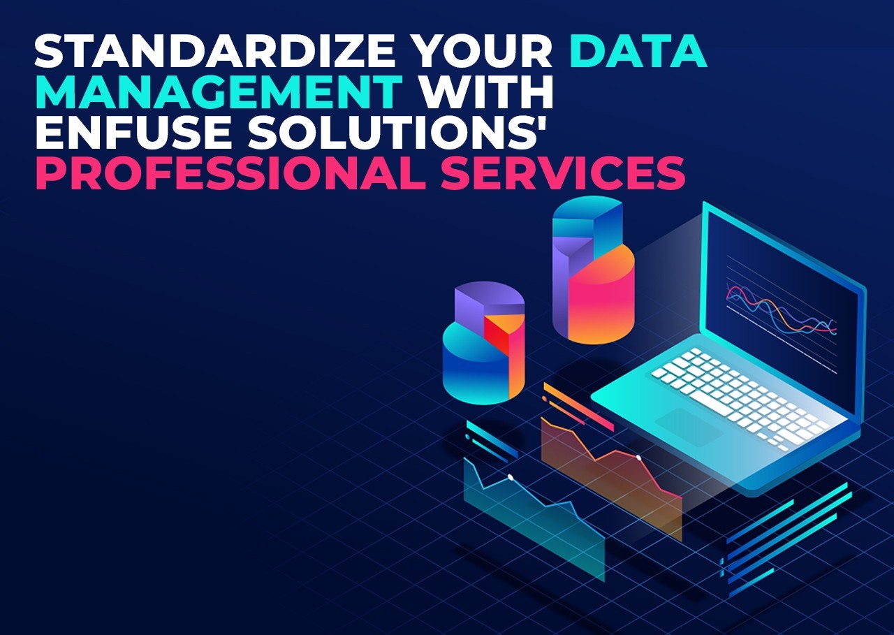 Professional Data Management Services at EnFuse Solutions