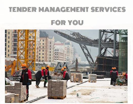 Tender Management Services For You