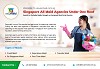 Professional Web Portal for Maid