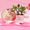 Send online Valentine gifts to Chandigarh