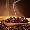 Best Filter Coffee Brands