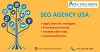 SEO Agency USA | Apex Info-Serve