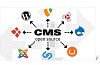 CMS & Offshore Services