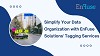 Simplify Your Data Organization with EnFuse Solutions' Tagging Services