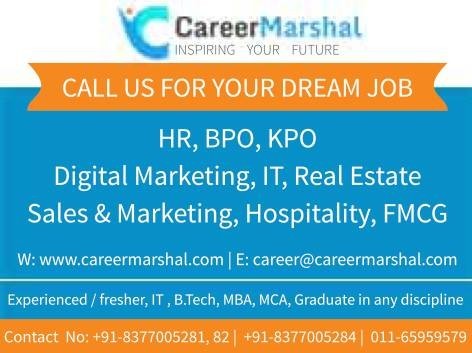 Job Portal sites in Delhi