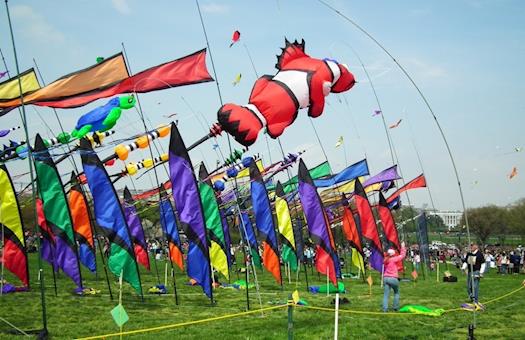Makar Sankranti Kite Festival Jaipur 2017