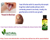 Tea Tree Oil for Yeast Infection - Natural Essential Oils - Natural Herbs Clinic
