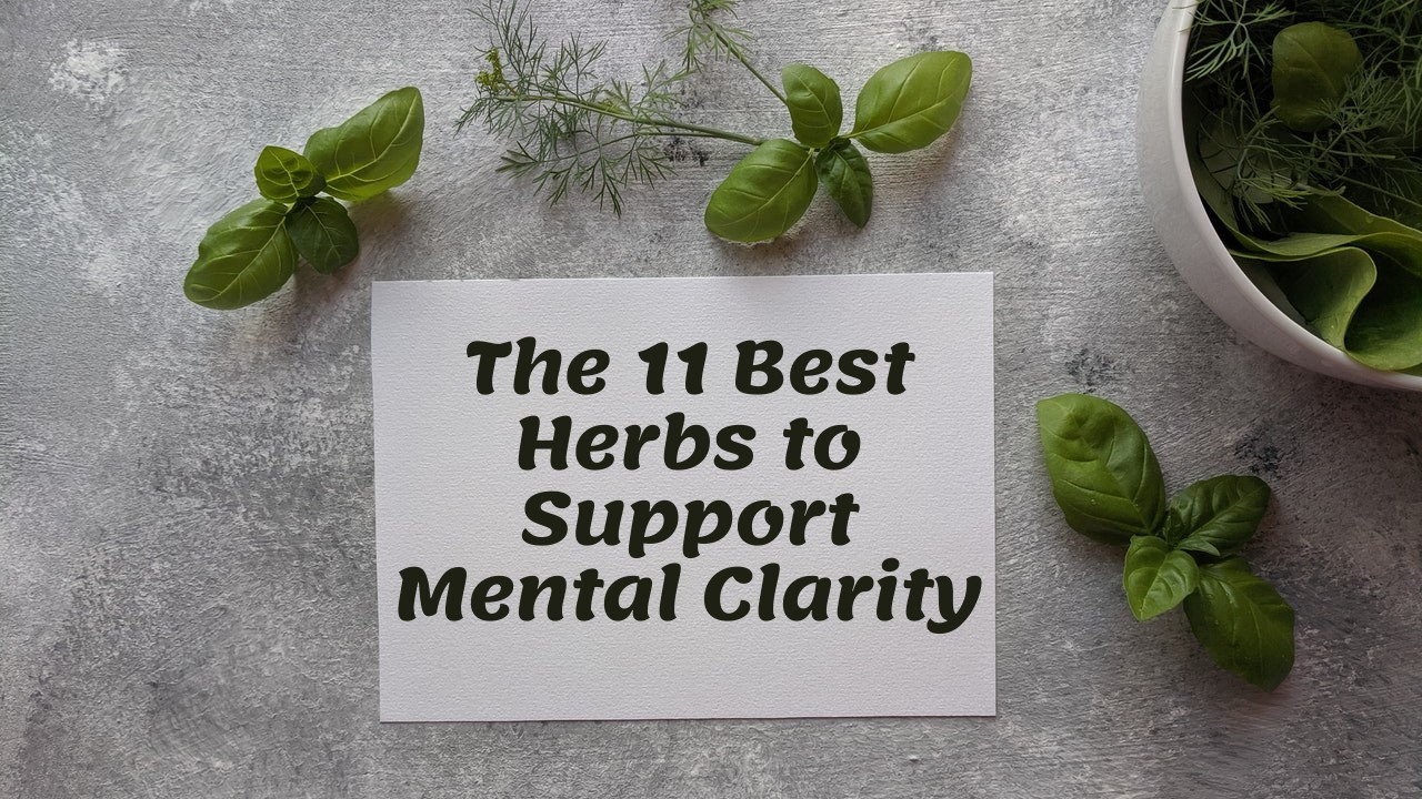 The 11 Best Herbs to Support Mental Clarity