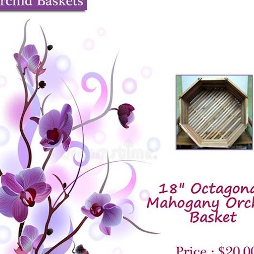 Buy Beautiful Orchid Baskets in Florida at Reasonable Prices