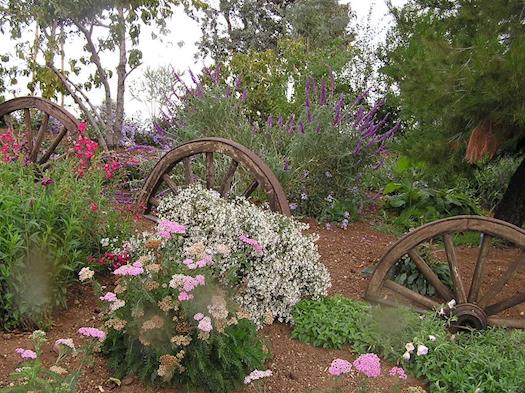 Ranch Landscape Design