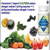 agen obat herbal indonesia