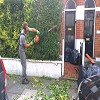 Garden maintenance