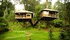 Kerala Holidays- Explore the Tourist Attractions