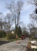 Tree Service Columbia - Unlimbited Tree Service Inc.