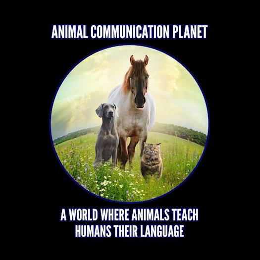 Animal Communication, Pet Psychic, Animal Psychic, Spirit Animal