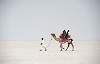 Rann Of Kutch Festival
