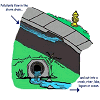 Storm Water Pollutants