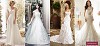 Bridal Dress Companies in Sussex