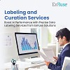 Boost AI Performance with Precise Data Labeling Services!