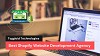 Best Shopify Website Development Agency - Toggloid Technologies