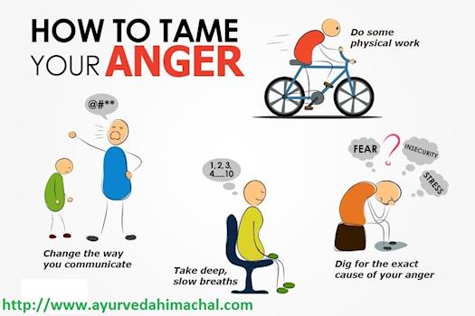 How To Tame Your Anger