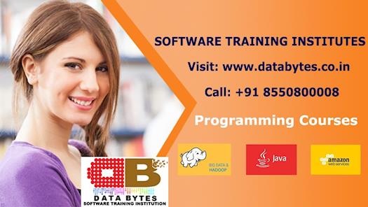 Softwarev Training