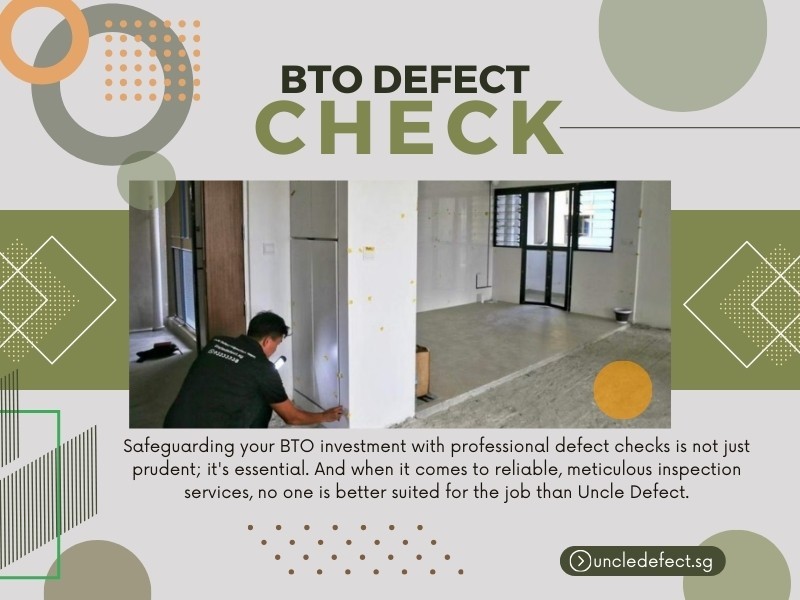 BTO Defects Check