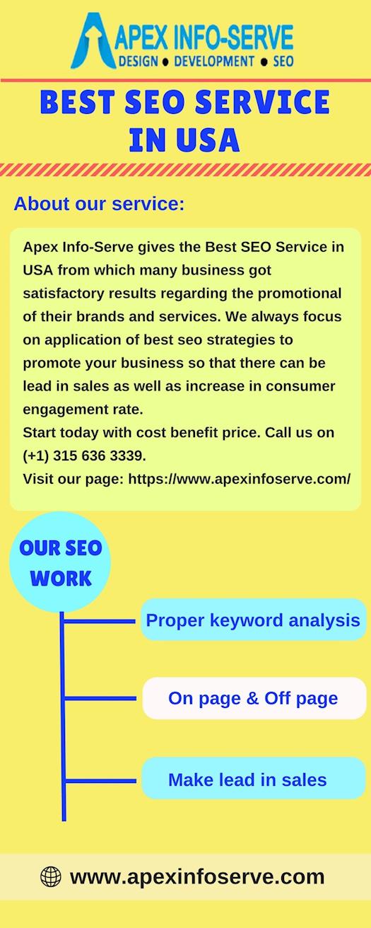 Best SEO Service in USA-Get from Apex Info-Serve
